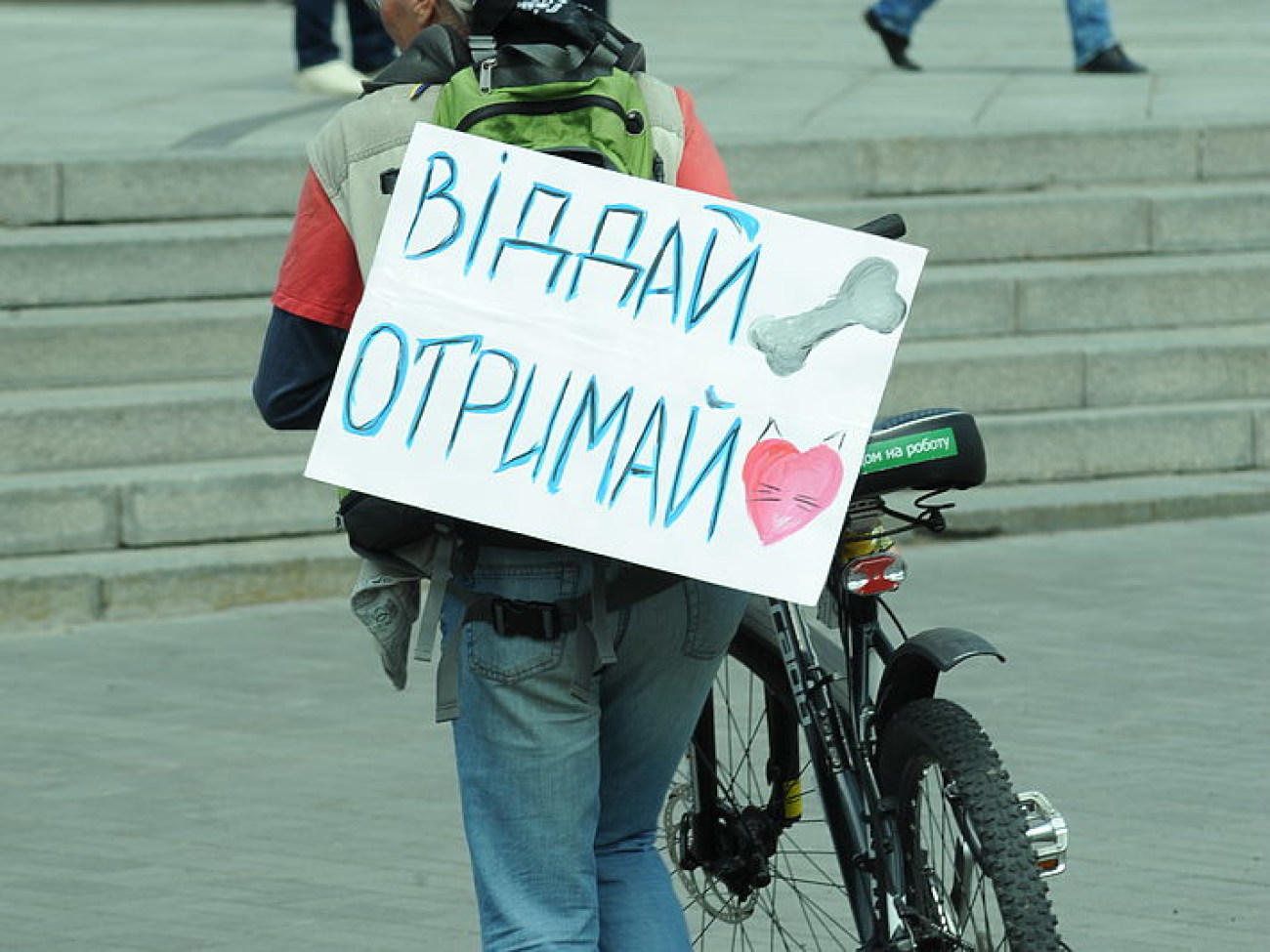 В День Киева занимались спортом и ходили на митинги, 30 мая 2015 г.