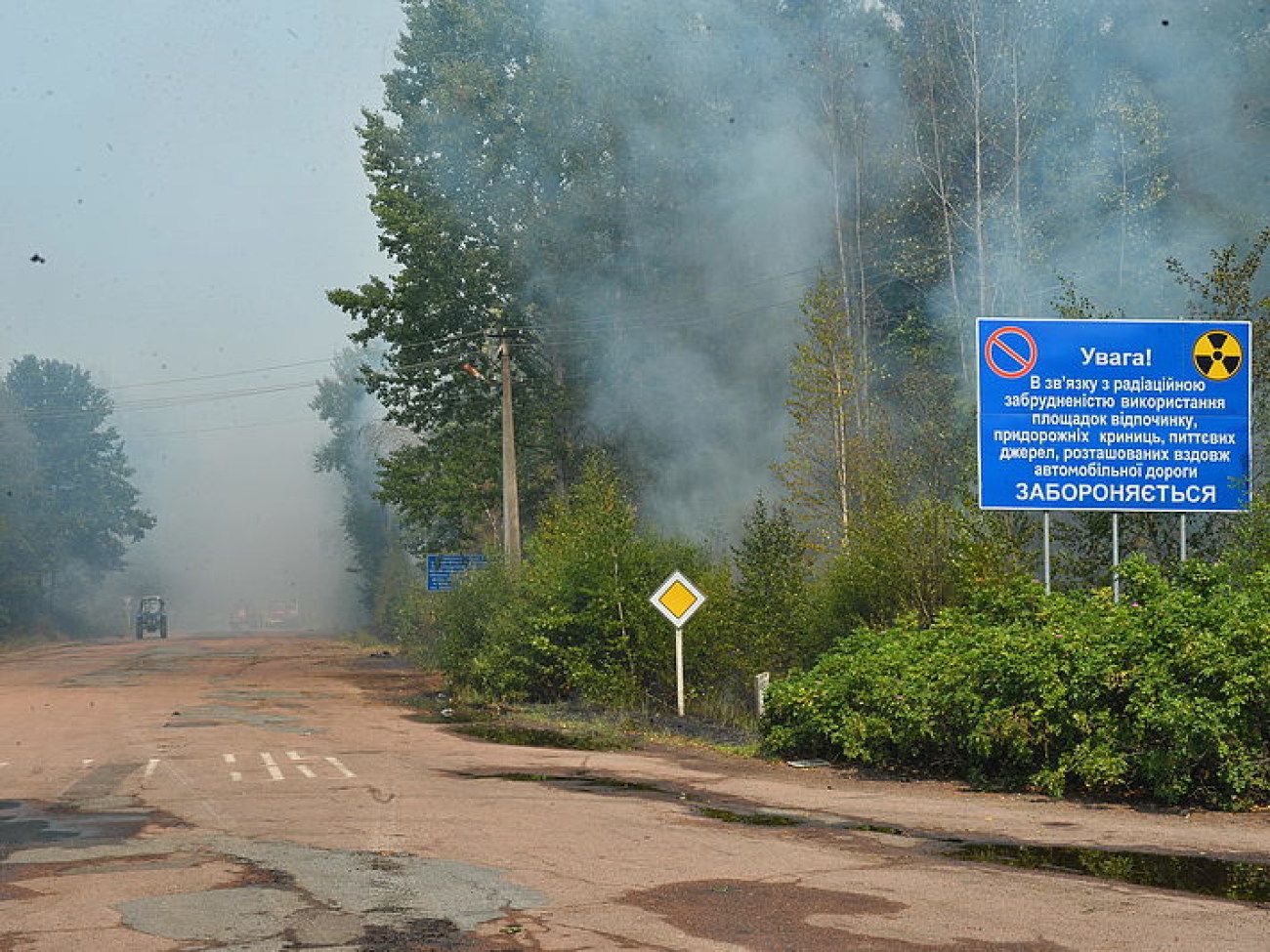 Пожар под Чернобылем тушат водой, лопатой и &#171;хлопушками&#187;