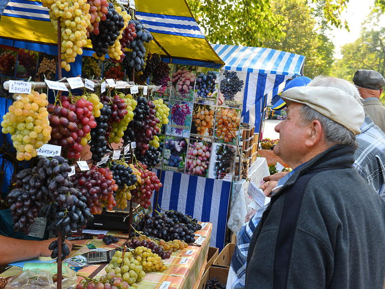 В Киеве проходит сельськохозяйственная выставка