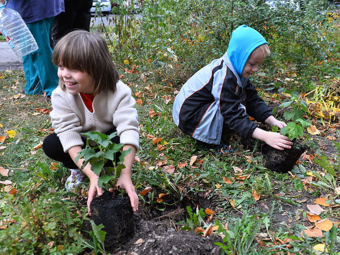 В столичном &#171;Охматдете&#187; дети сажали деревья ради мира и любви