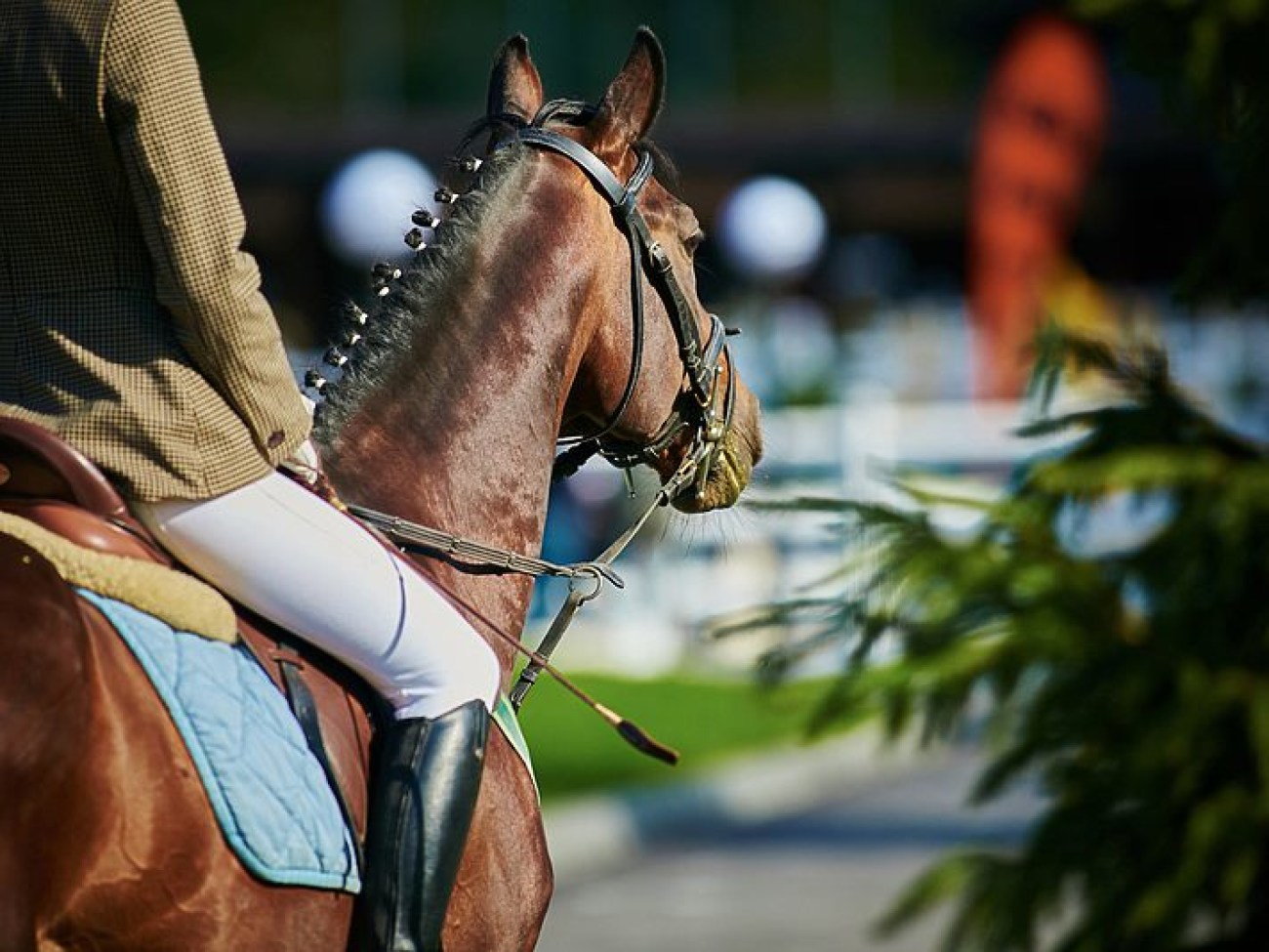 В Киеве состоялся Первый Международный конный турнир