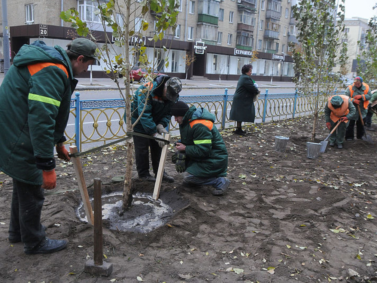 Коммунальная осень: в Киеве посадили тополя без пуха и по-модному убирают листья