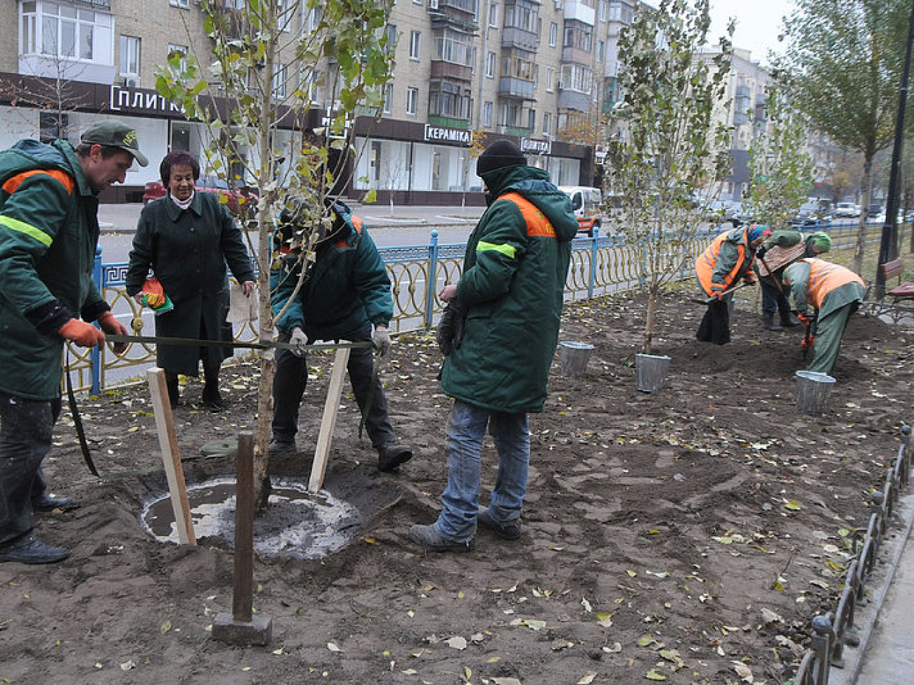 Коммунальная осень: в Киеве посадили тополя без пуха и по-модному убирают листья