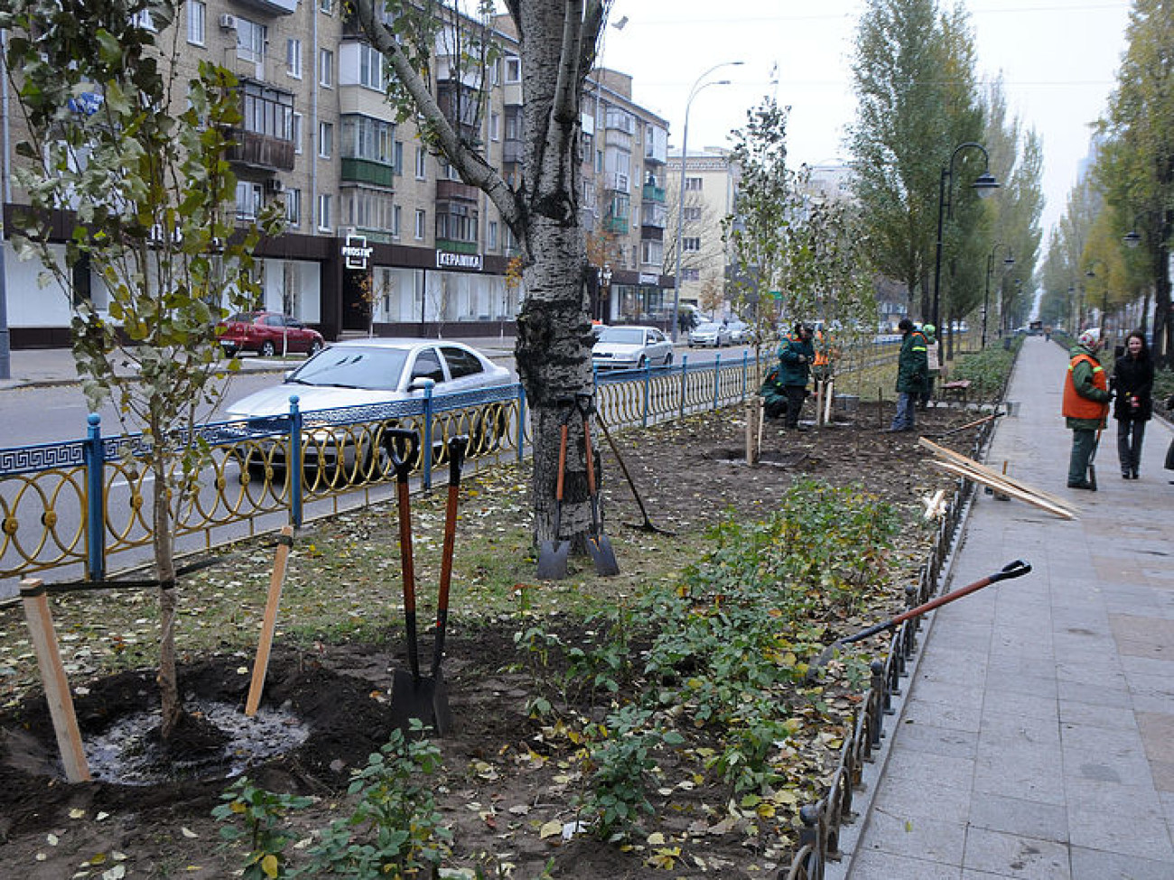 Коммунальная осень: в Киеве посадили тополя без пуха и по-модному убирают листья