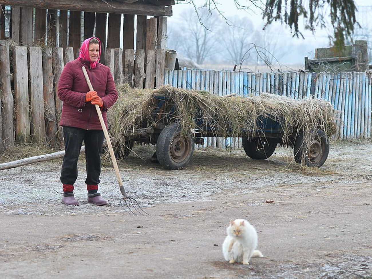 Украинцы готовятся к зиме