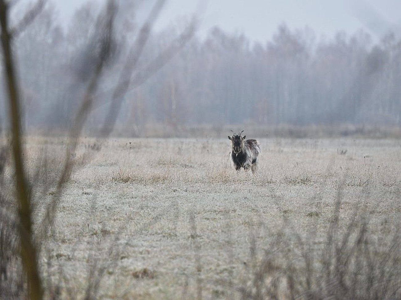 Украинцы готовятся к зиме