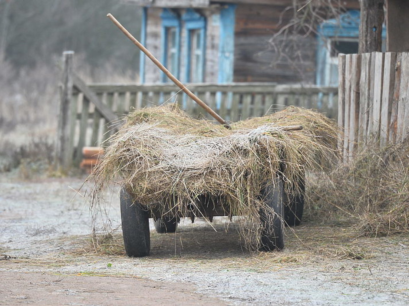 Украинцы готовятся к зиме