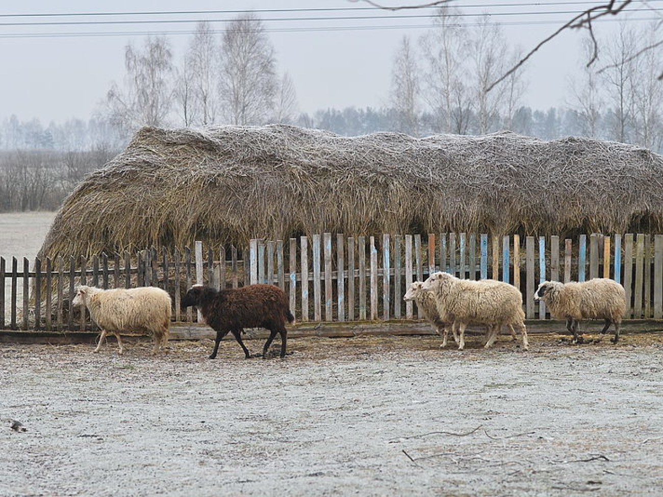 Украинцы готовятся к зиме