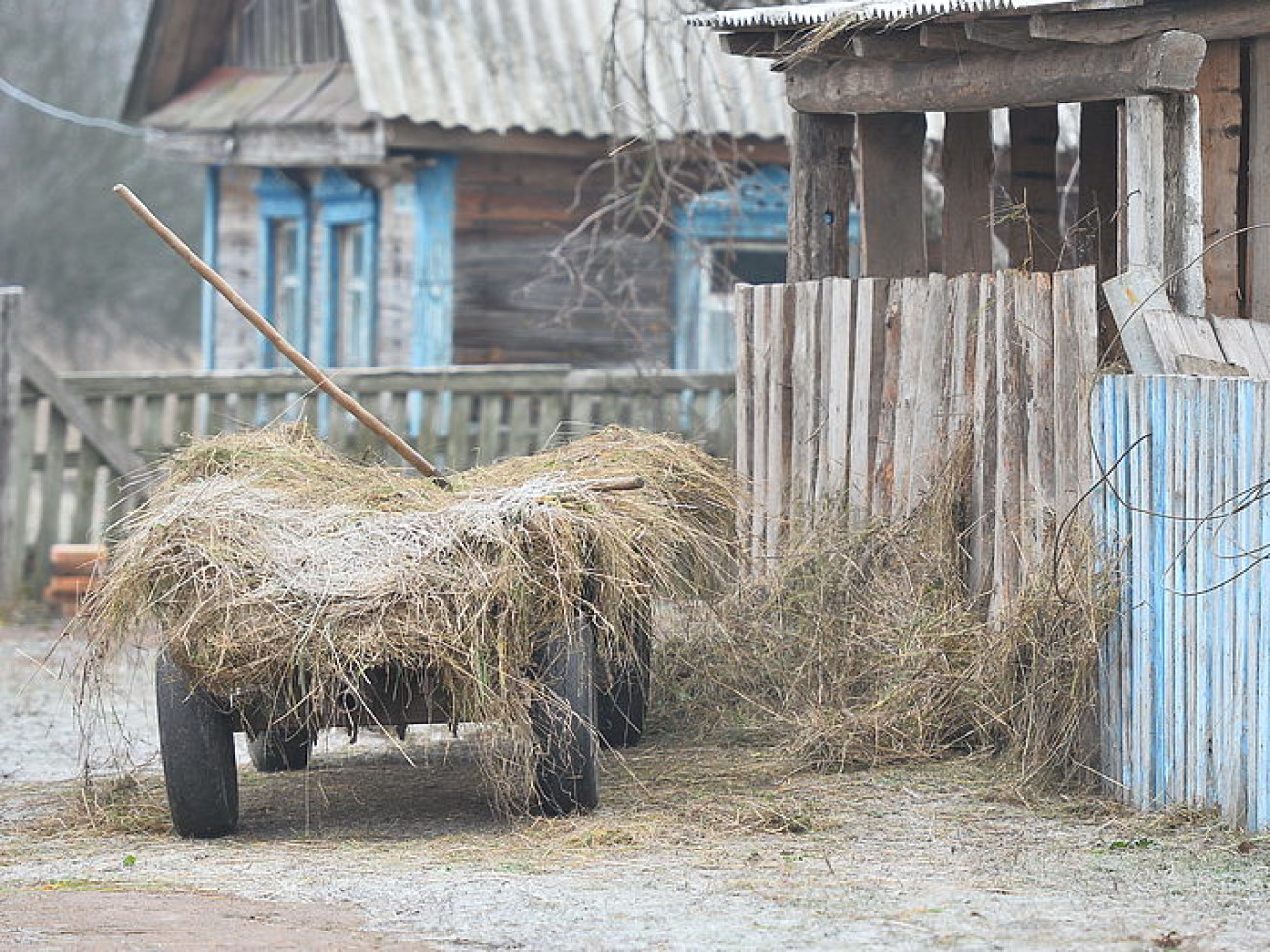 Украинцы готовятся к зиме