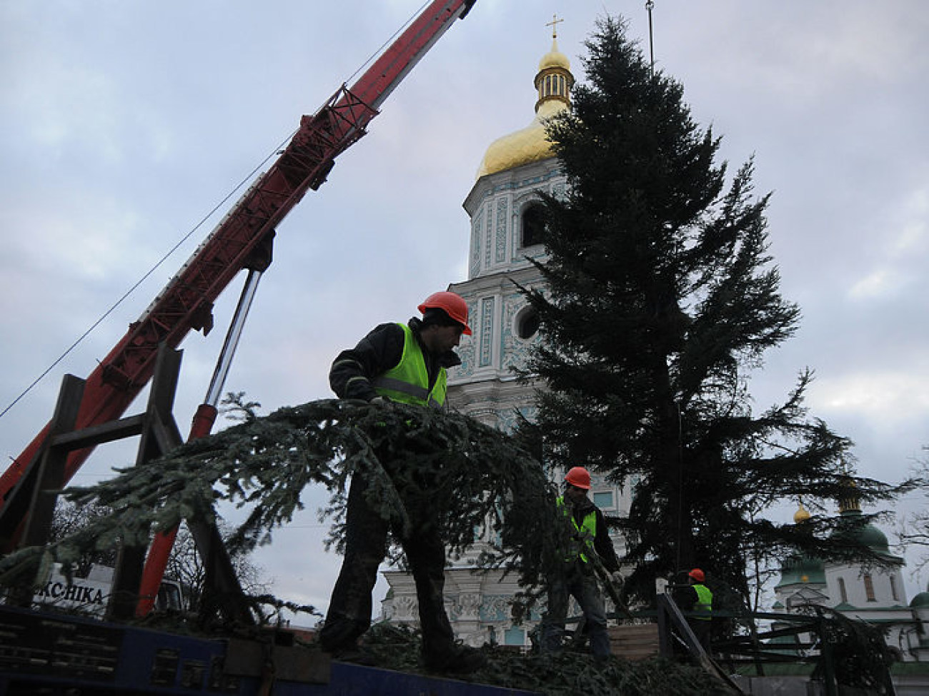 На Софийскую площадь в Киеве привезли главную елку страны