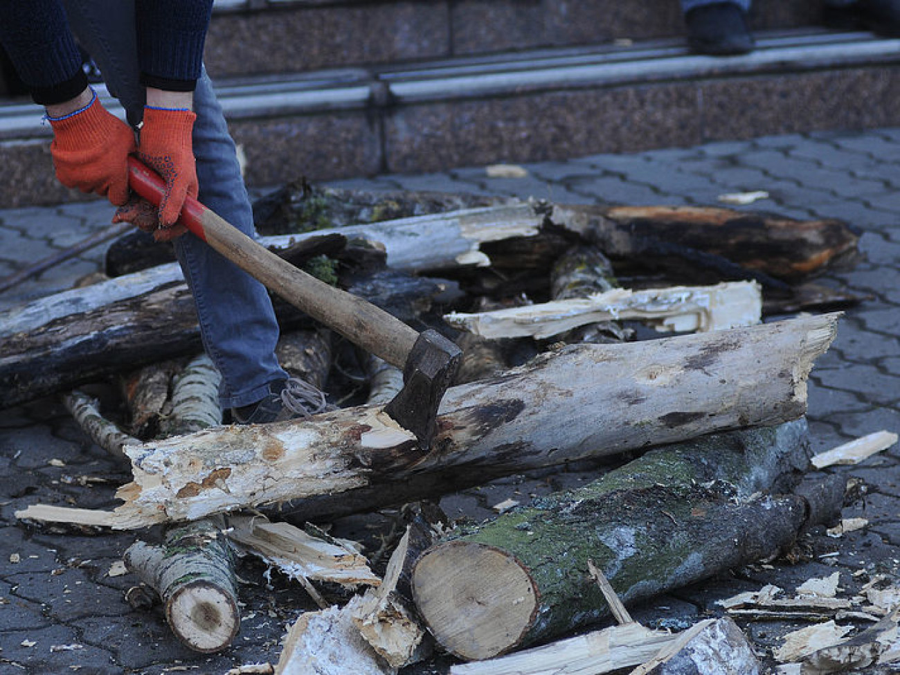Активисты пикетировали минэкологии, защищая леса Карпат