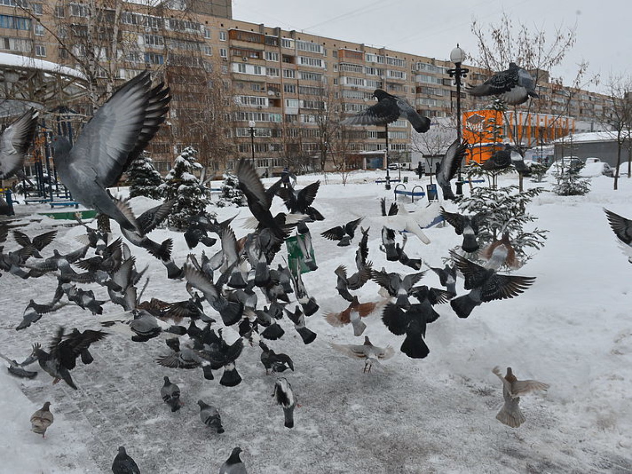 Снег в Киеве убирают дворники с лопатами и водители со щетками, техники почти не видно