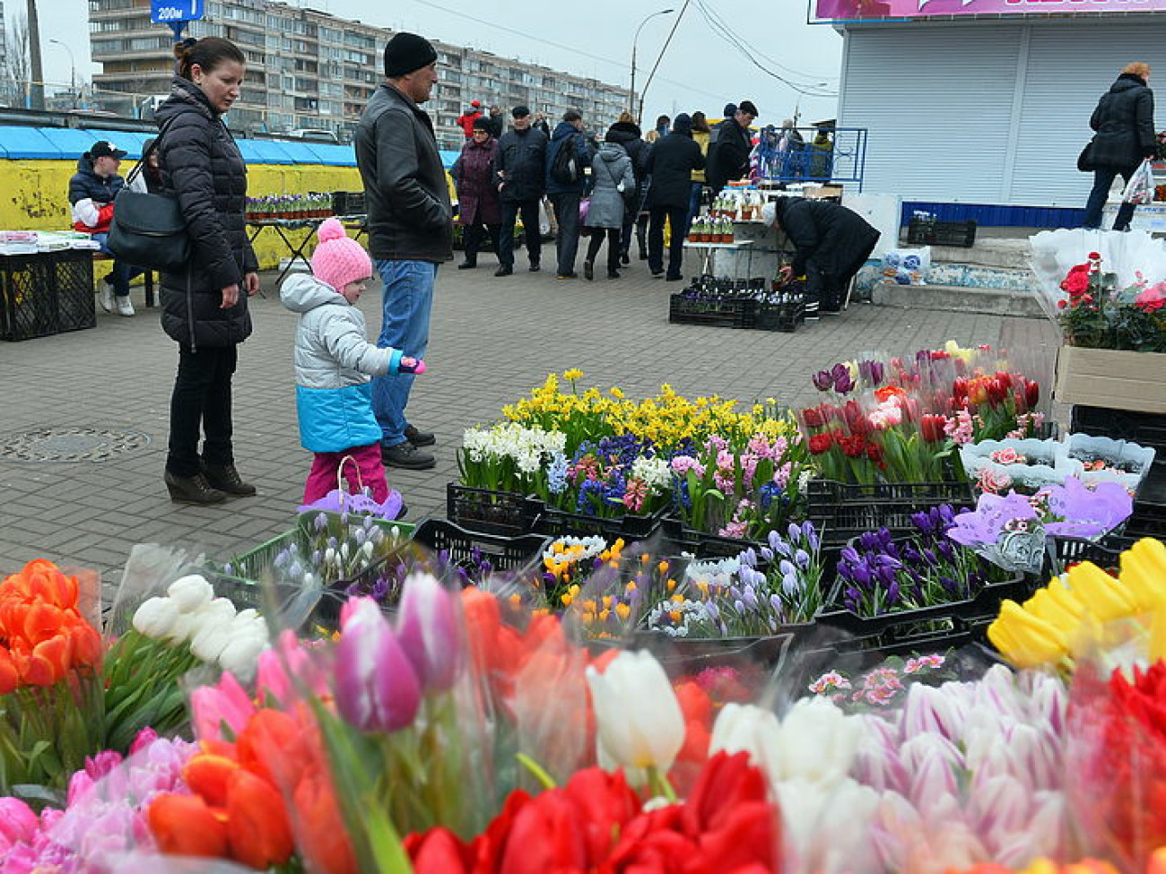 Столичные продавцы цветов жалуются на отсутствие спроса