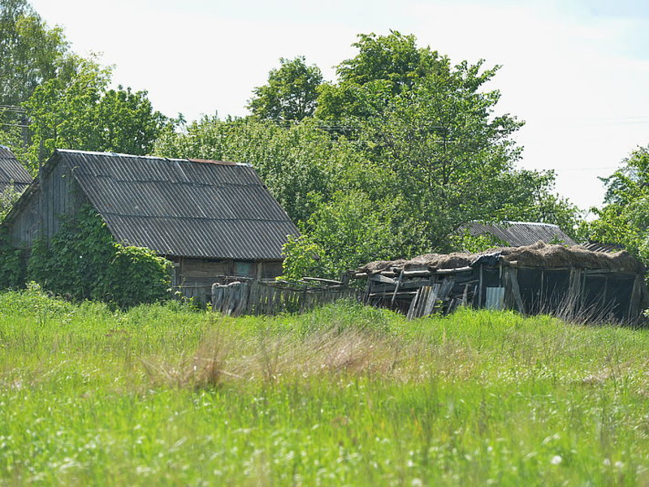 За годы Независимости в Украине исчезло около 700 сел
