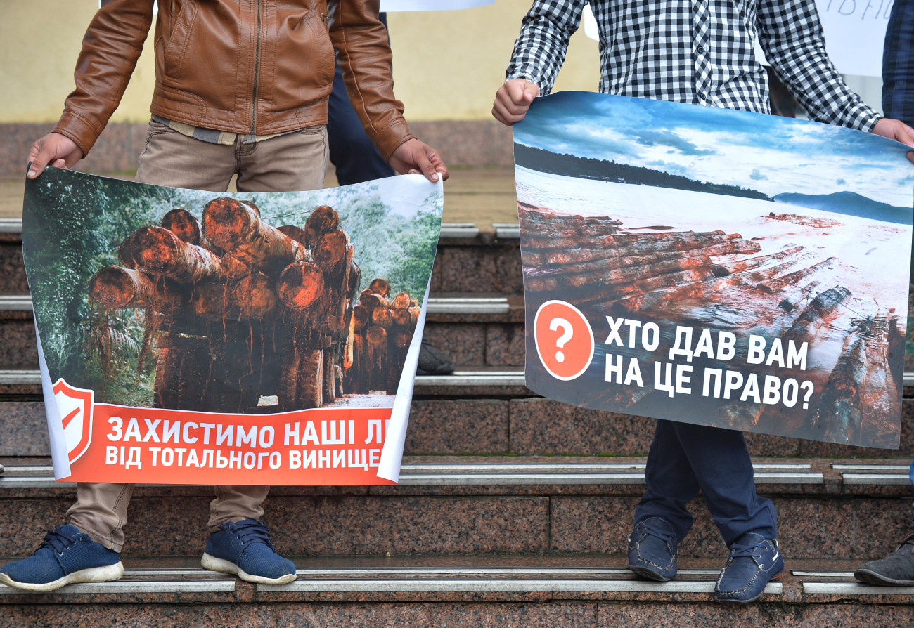 В Киеве митинговали против массовых вырубок карпатского леса