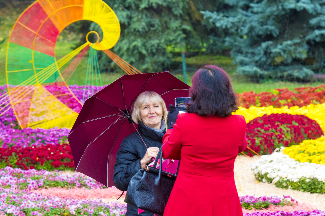 В Киеве открылась выставка хризантем «Мелодия осени»