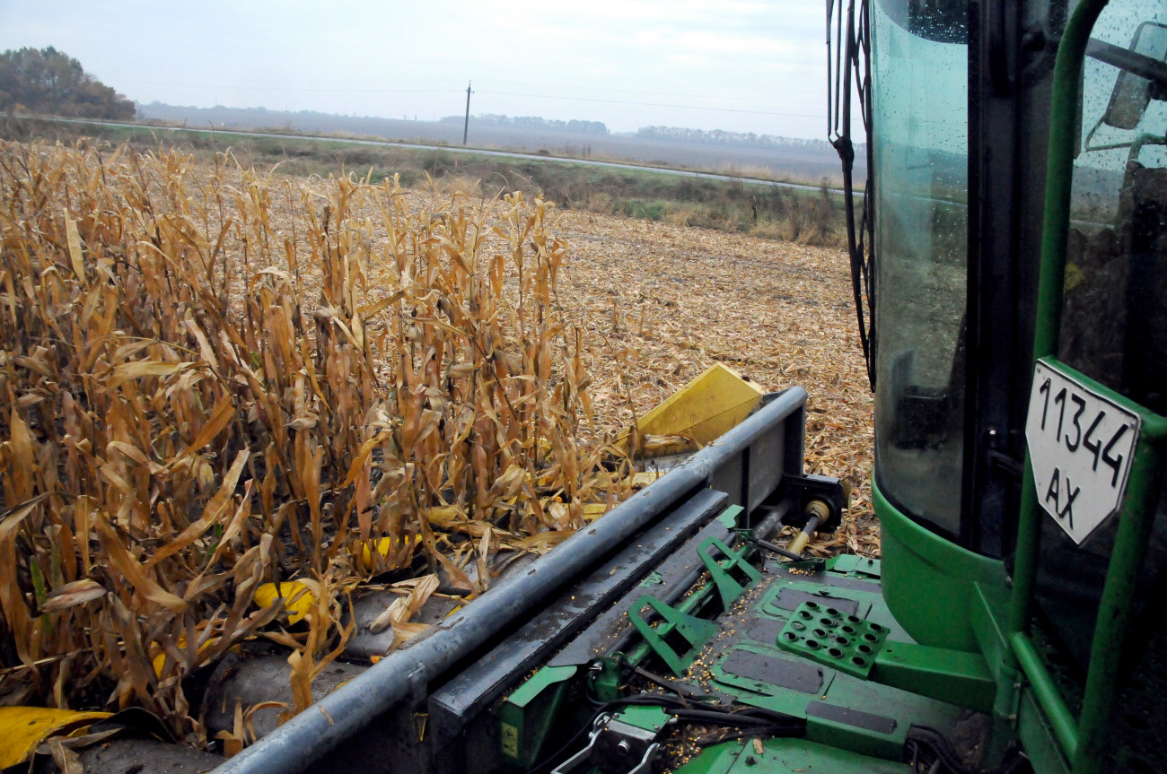 На полях Харьковщины проходит уборка кукурузы