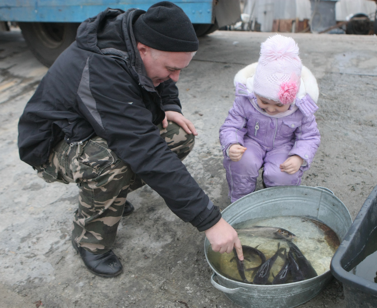 Во время осеннего зарыбления в Киевское водохранилище выпустили более ста тысяч мальков