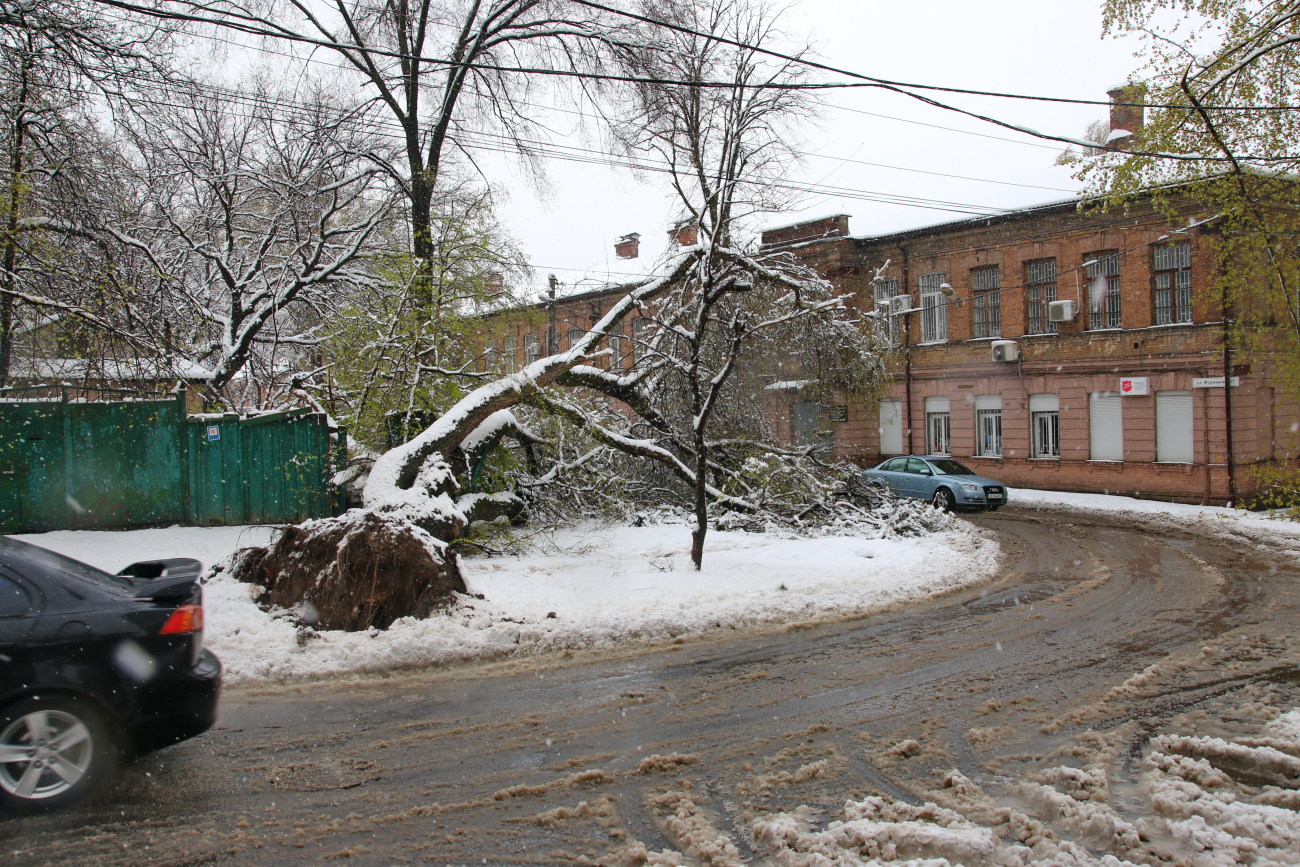 В Днепре снег поломал деревья и повредил транспорт