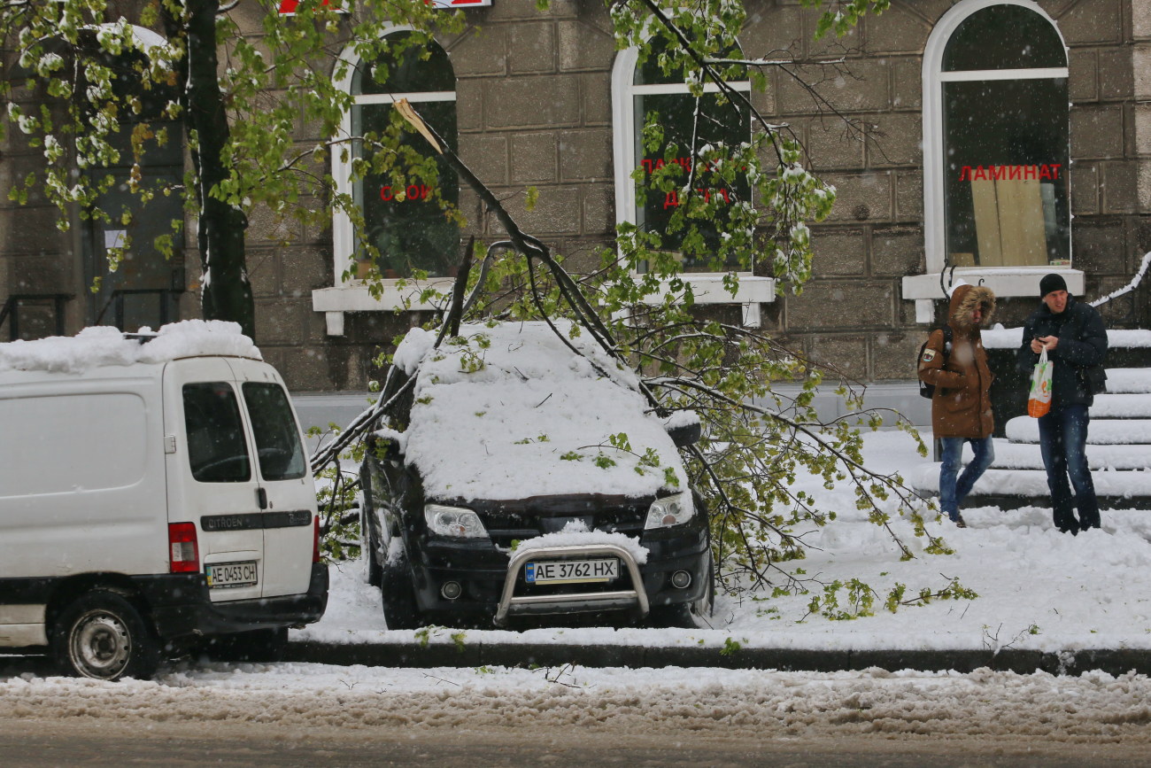 В Днепре снег поломал деревья и повредил транспорт