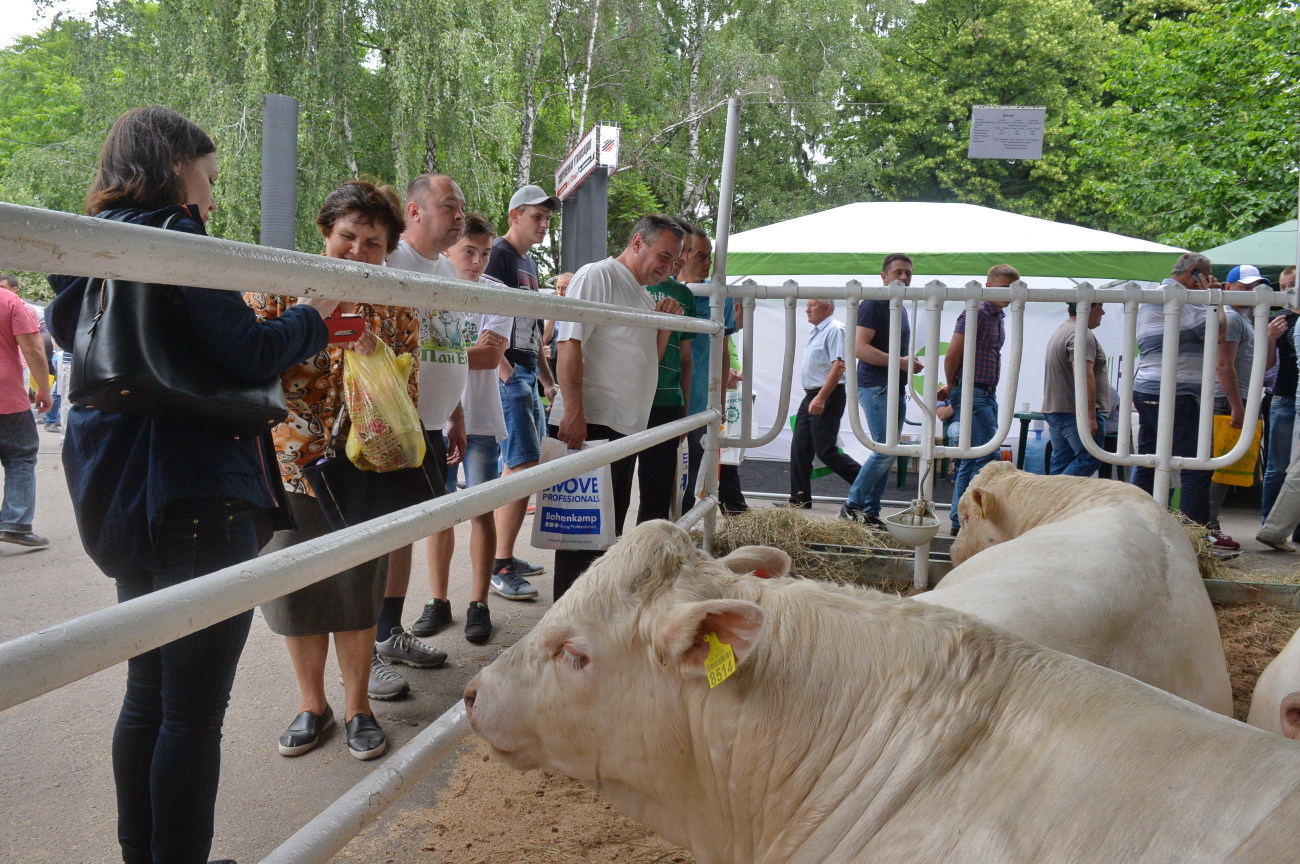 В Киеве проходит международная сельскохозяйственная выставка