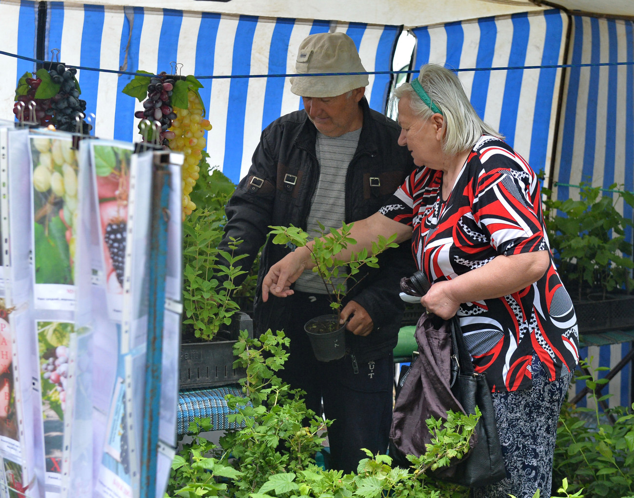 В Киеве проходит международная сельскохозяйственная выставка