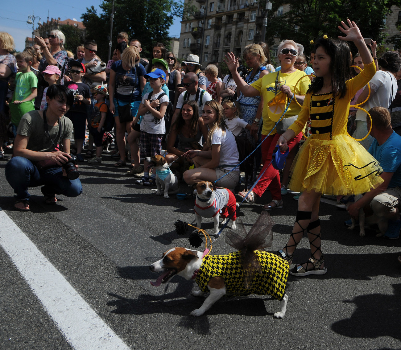 В Киеве состоялся первый украинский парад собак породы Джек Рассел Терьер и Парсон