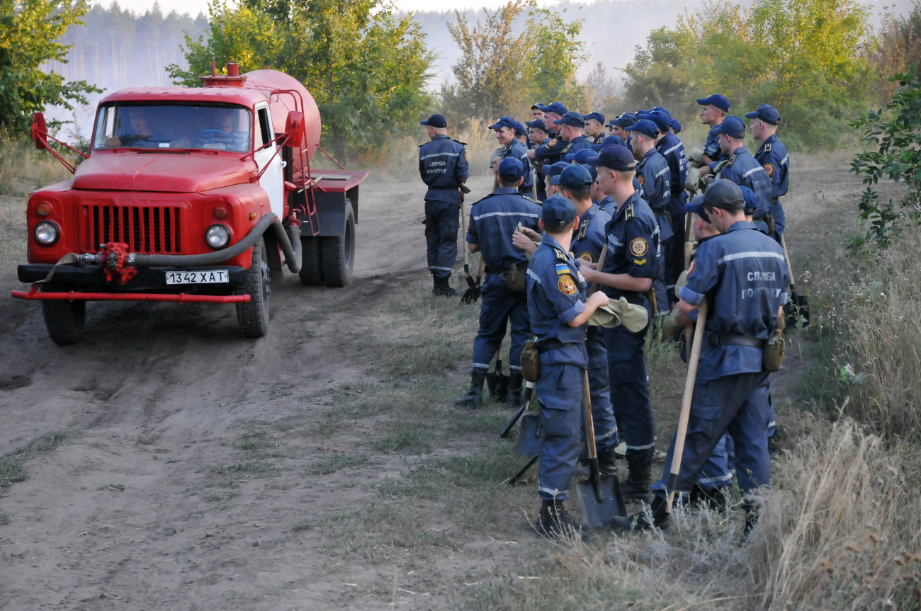 В Харьковской области произошел масштабный лесной пожар