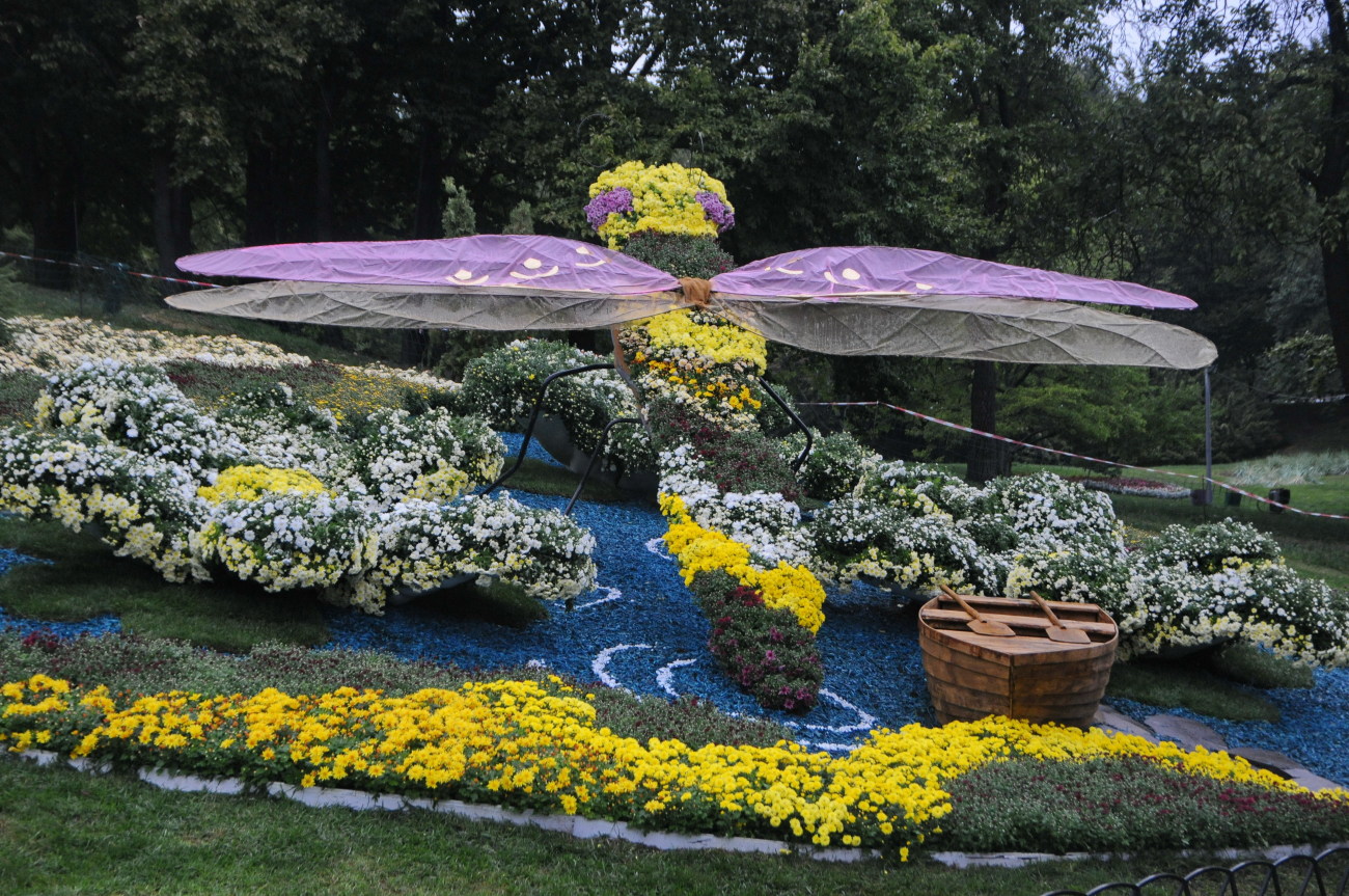 На Певческом поле в Киеве проходит фестиваль хризантем