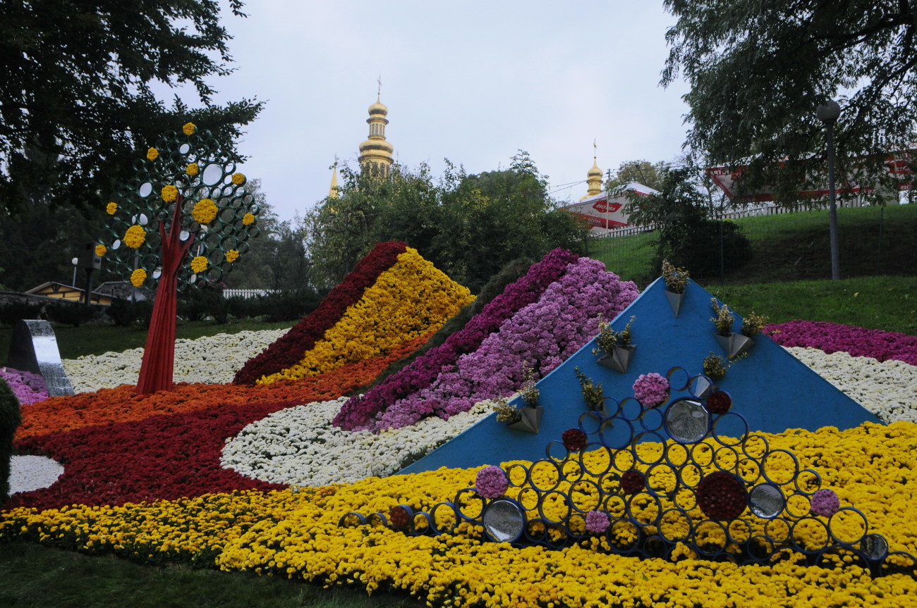 На Певческом поле в Киеве проходит фестиваль хризантем
