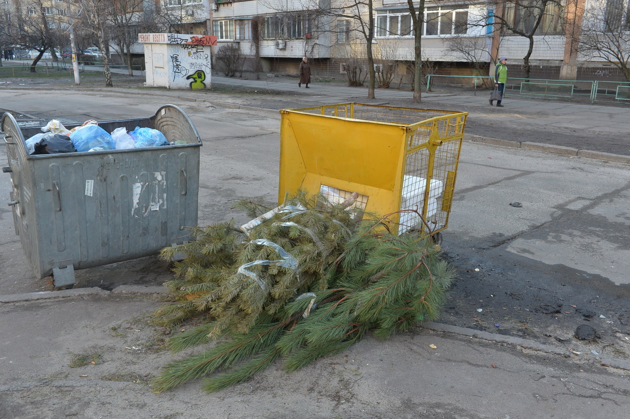 Мусор в городе: киевляне избавляются от елок