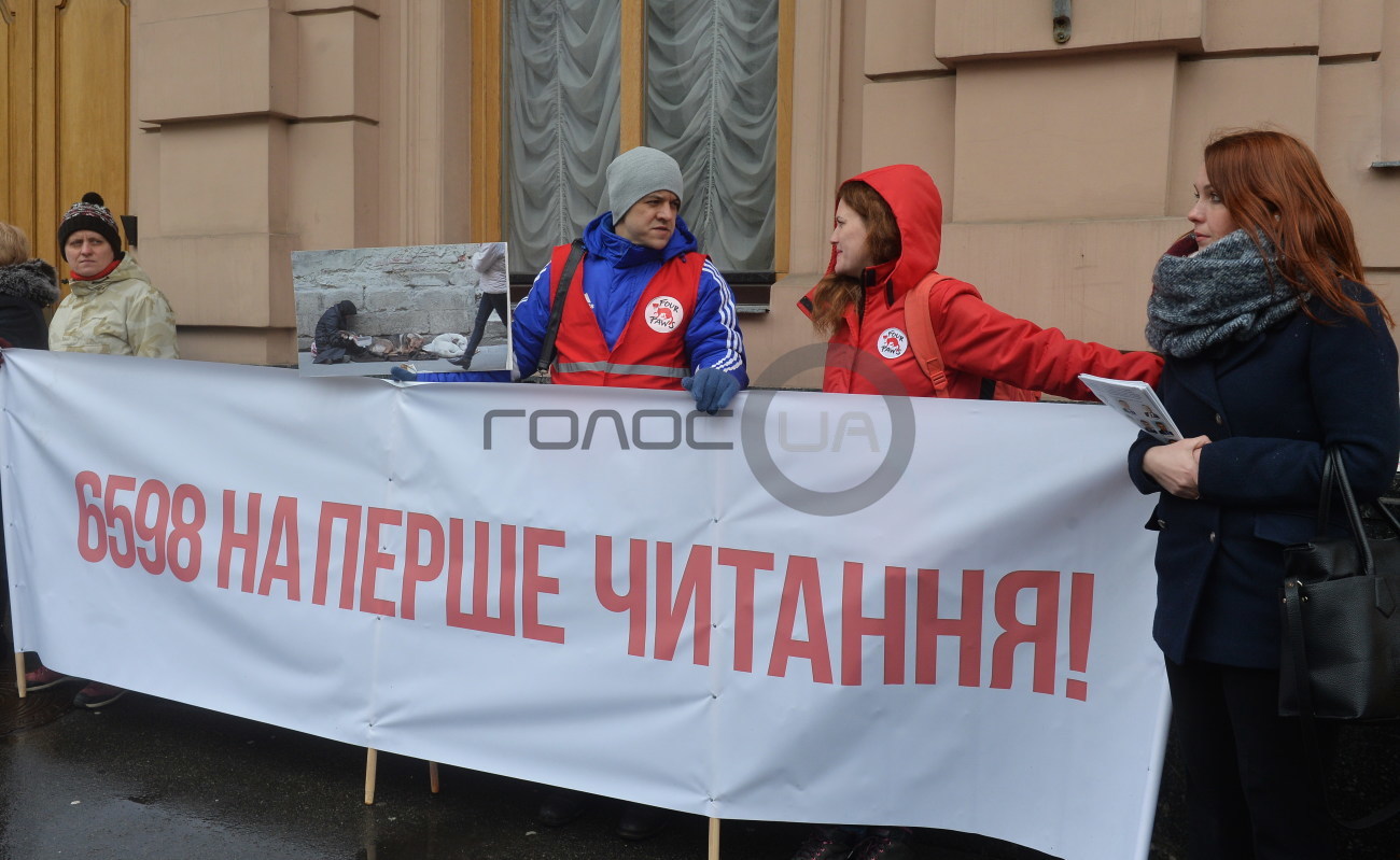 Зоозащитники пикетировали депутатов