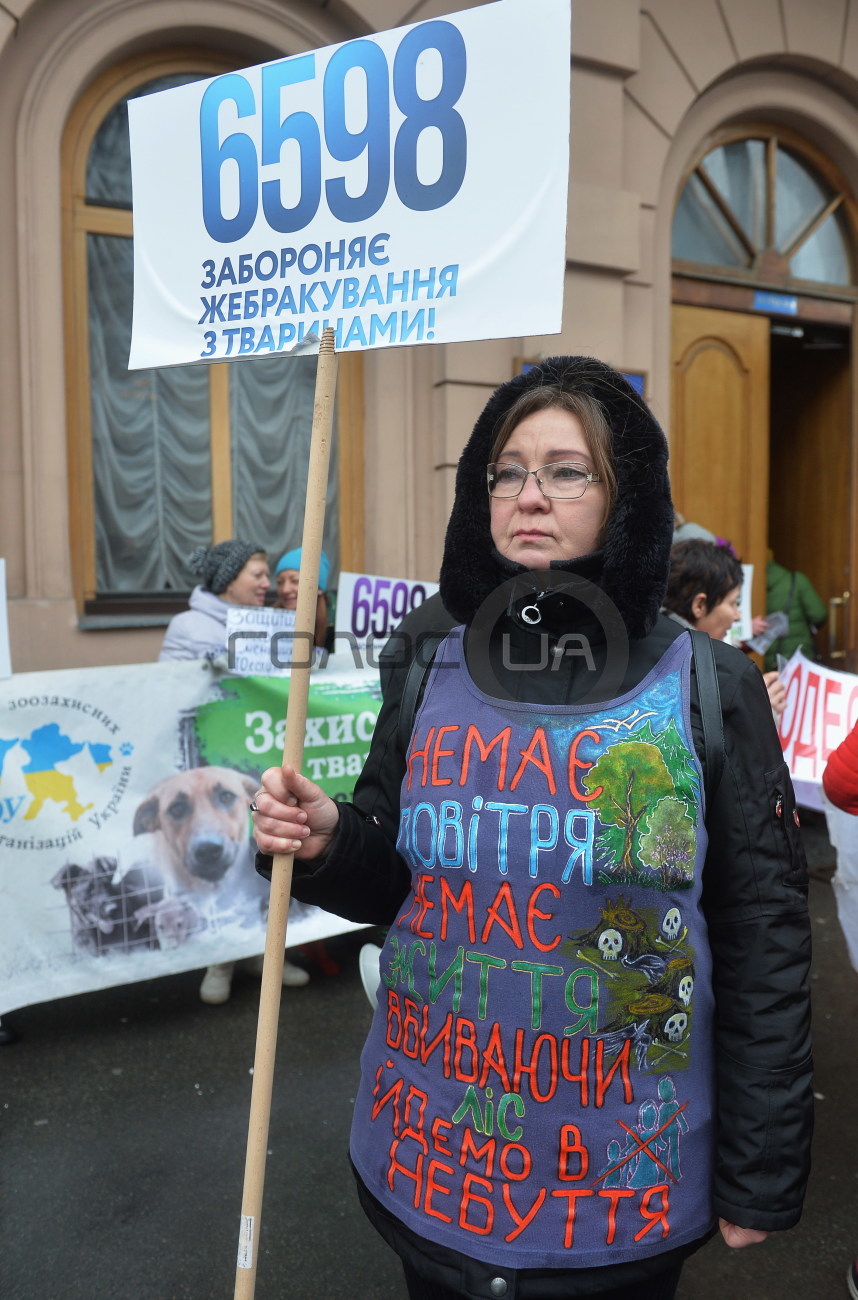 Зоозащитники пикетировали депутатов