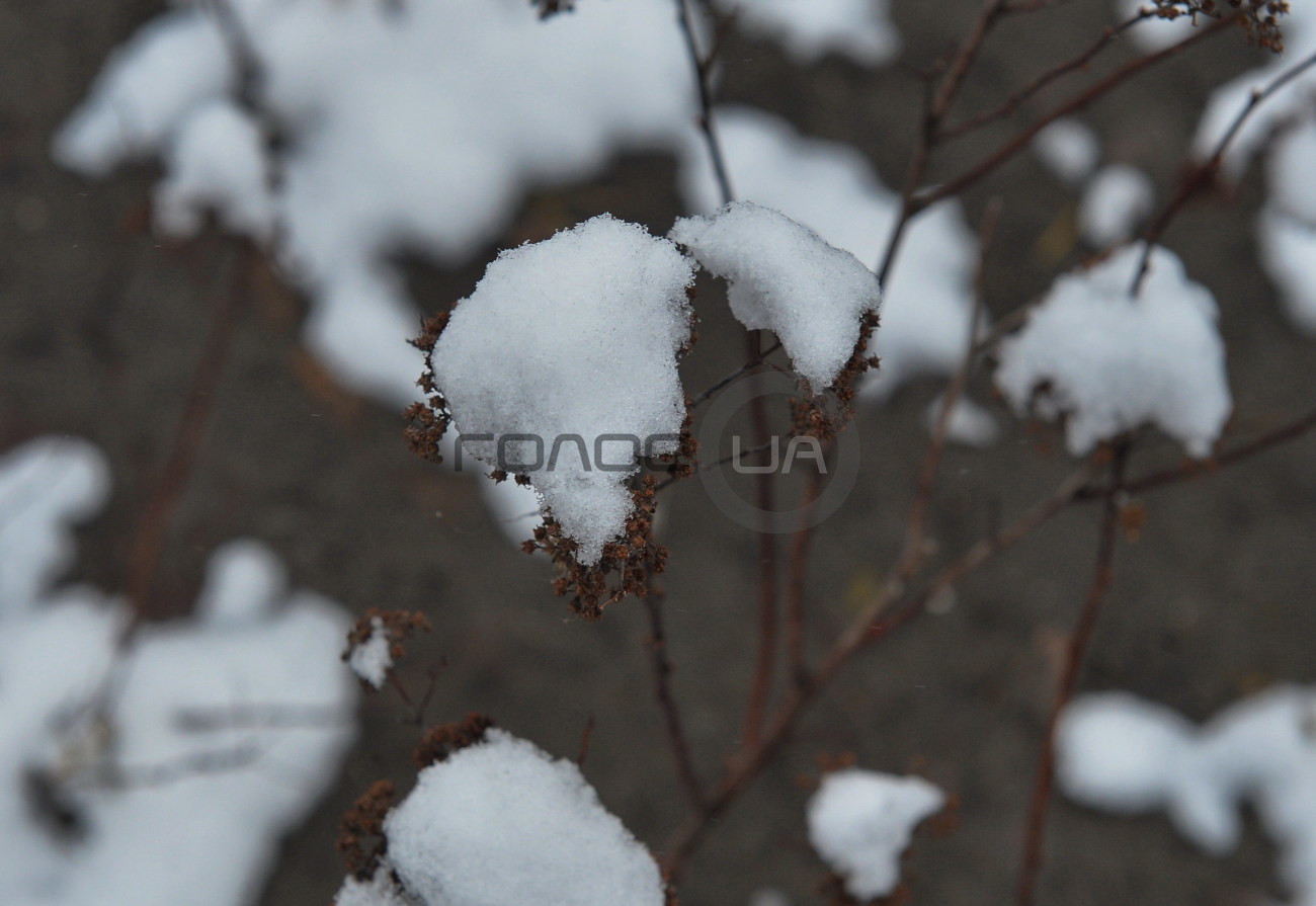 В Киеве снова снег