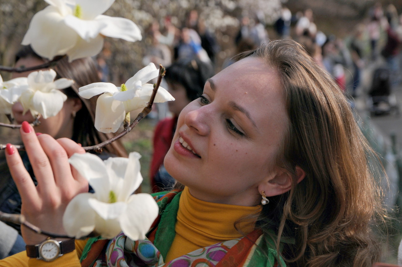 В Киеве цветет магнолия