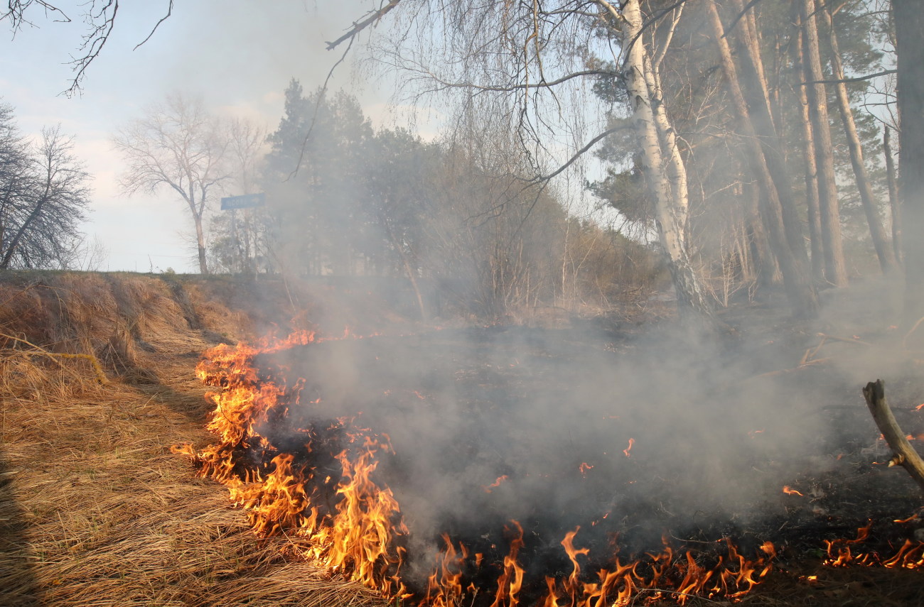 В Украине объявлено штормовое предупреждение из-за пожарной опасности