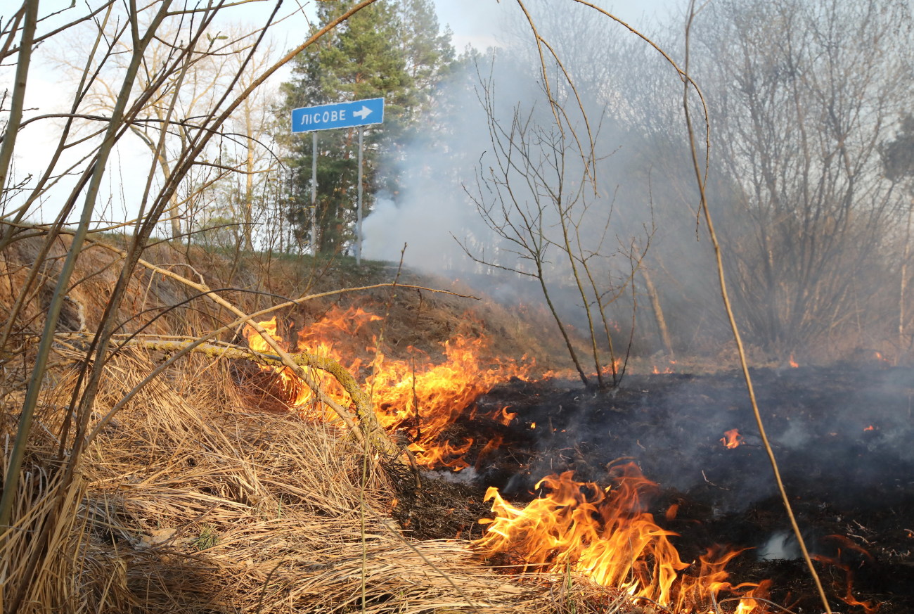 В Украине объявлено штормовое предупреждение из-за пожарной опасности