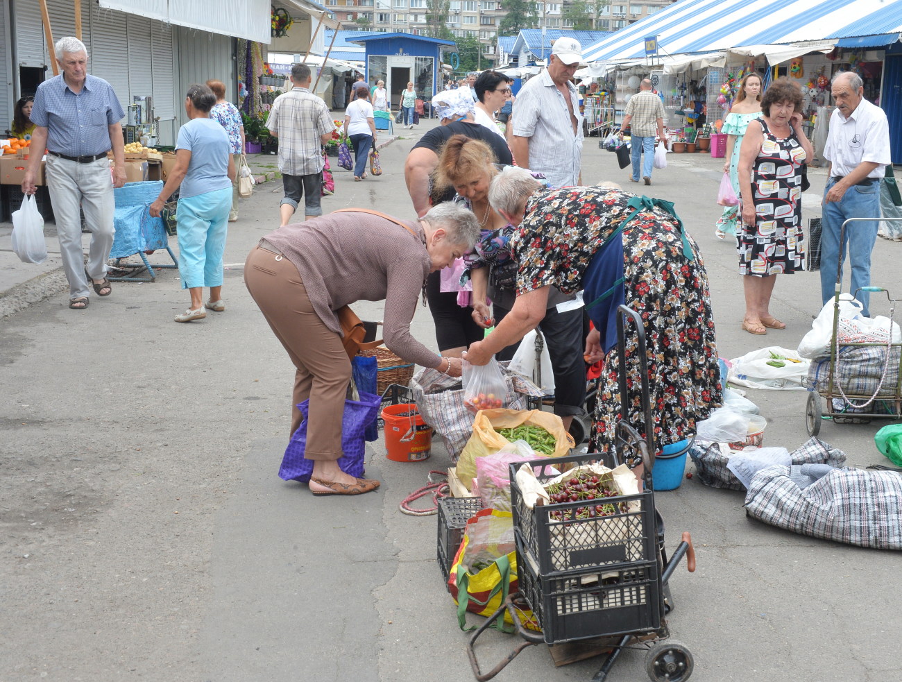 В Киеве дешевеет картошка, клубника, черешня; помидоры держаться в цене