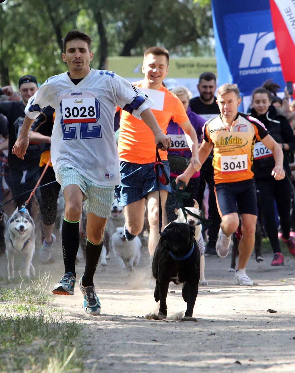 В Киеве прошел масовый забег с собаками