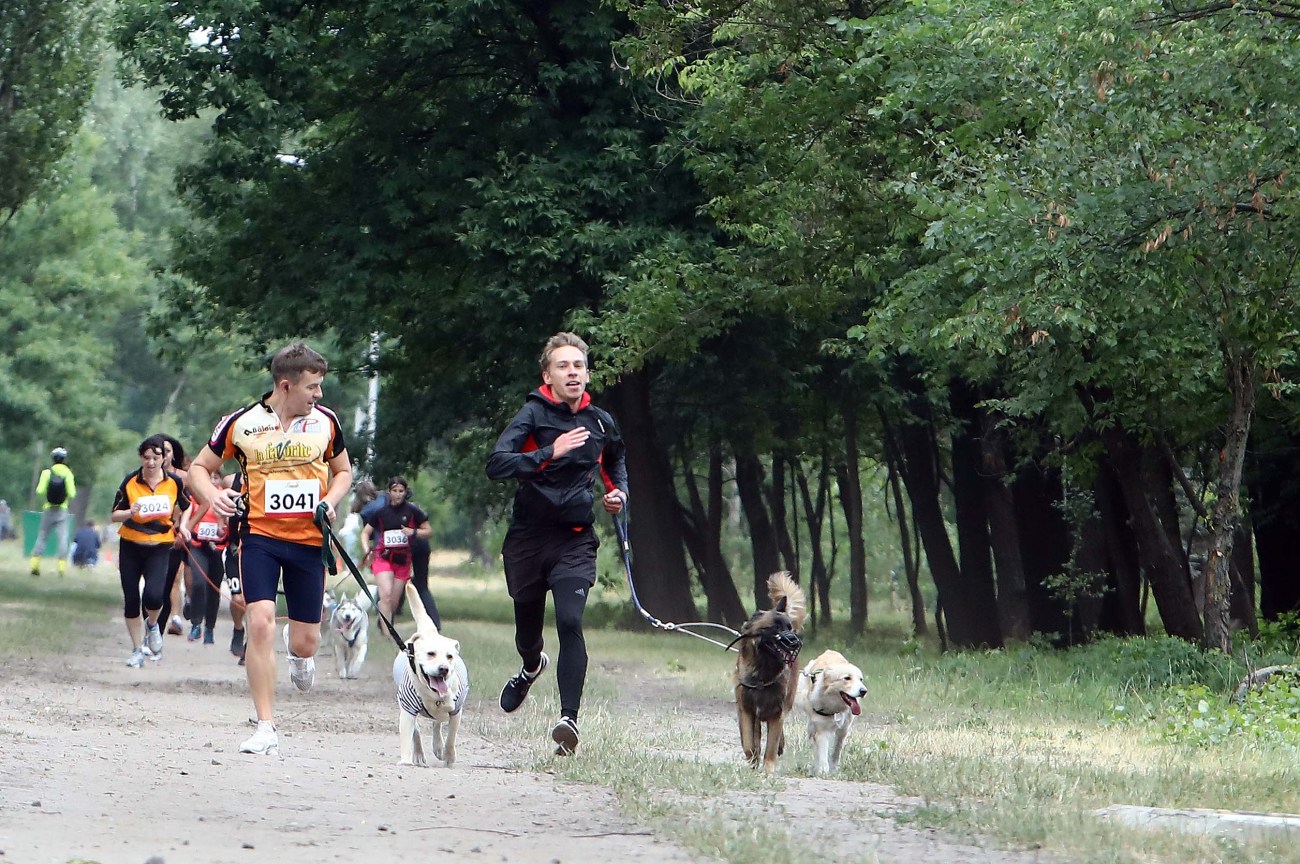 В Киеве прошел масовый забег с собаками