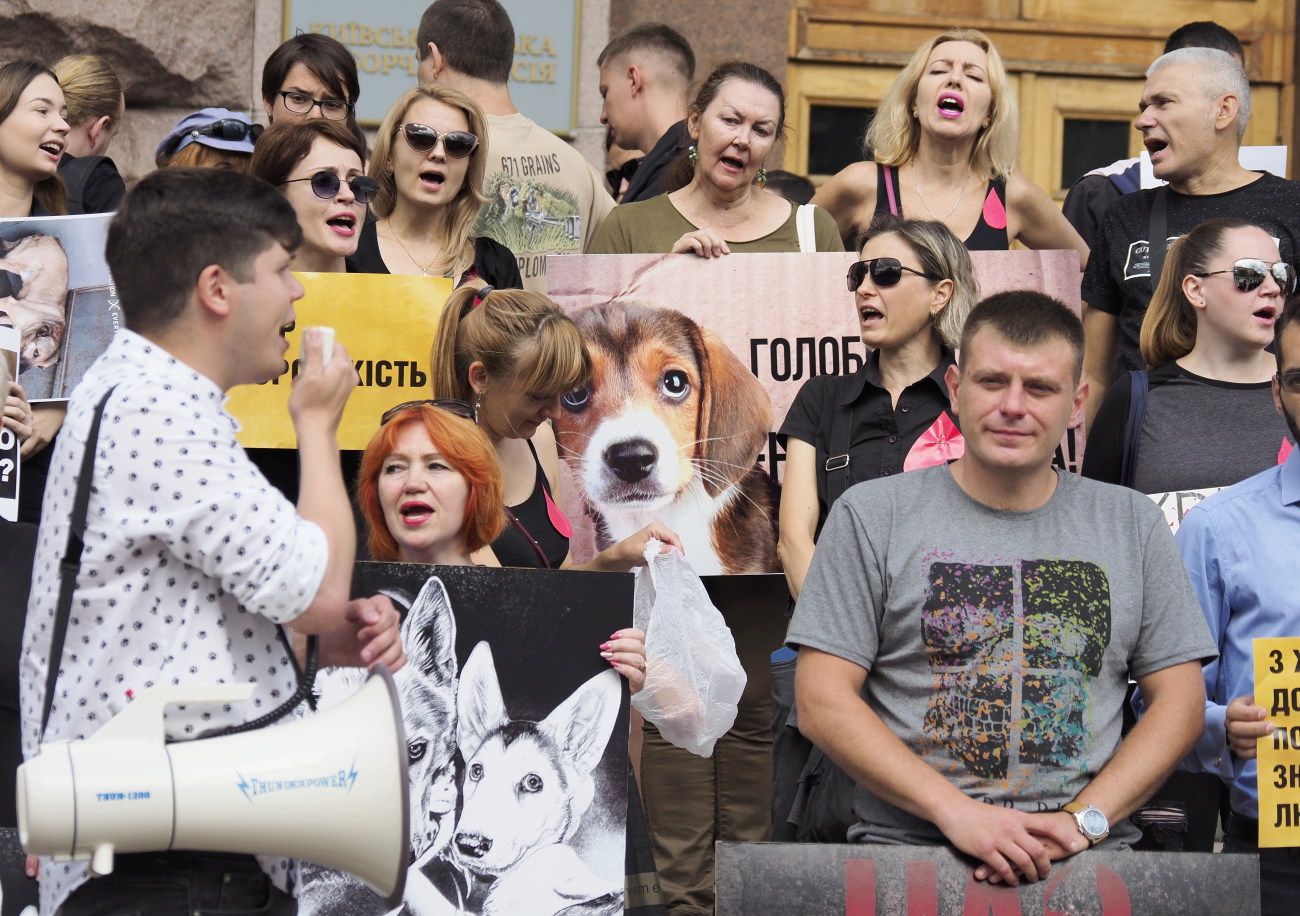 Защитники животных протестовали под Киевсоветом