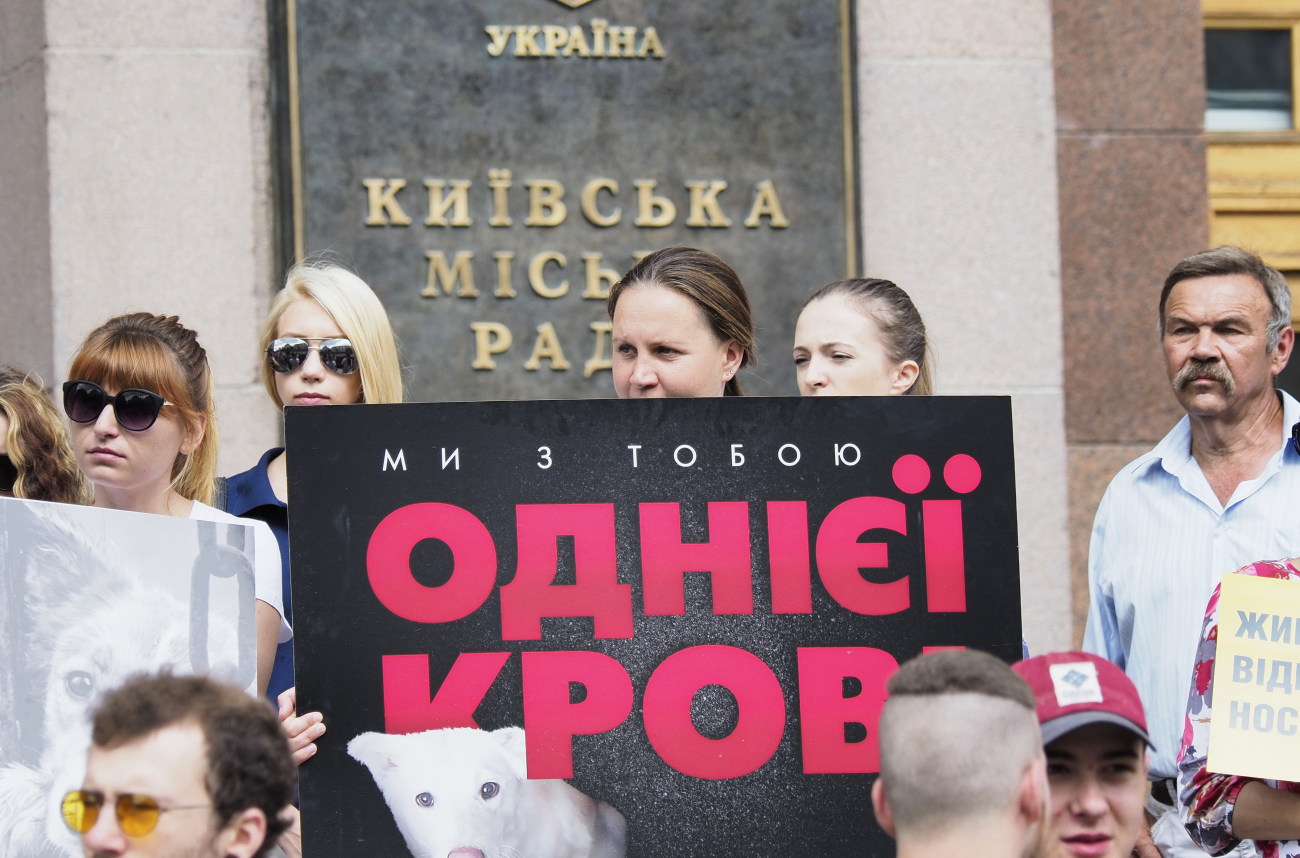 Защитники животных протестовали под Киевсоветом