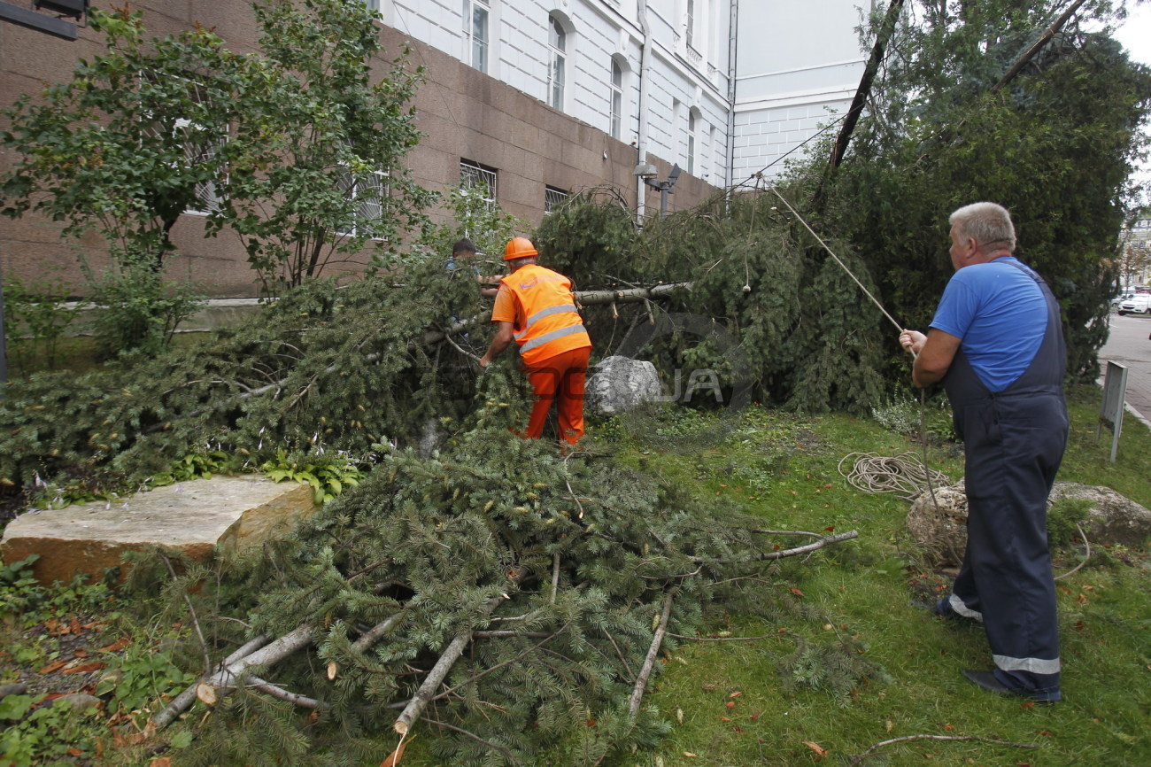 Поваленные деревья и затопленные улицы: в Киеве прошел ураган