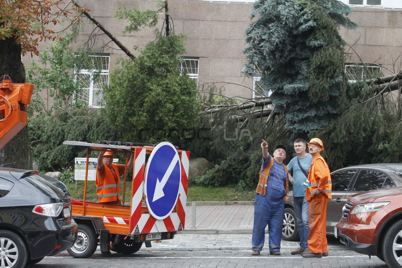 Поваленные деревья и затопленные улицы: в Киеве прошел ураган
