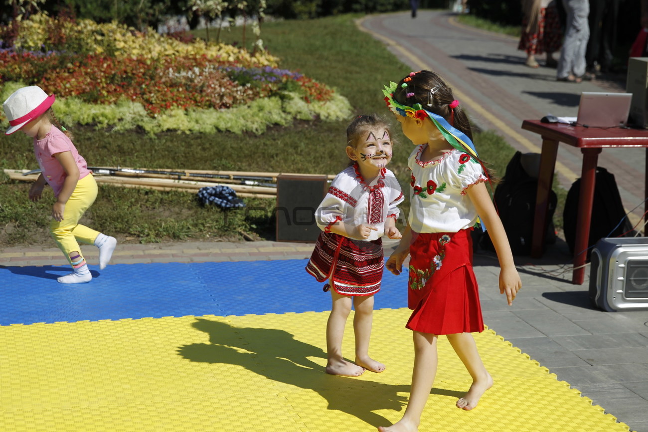 Как киевляне День Независимости праздновали