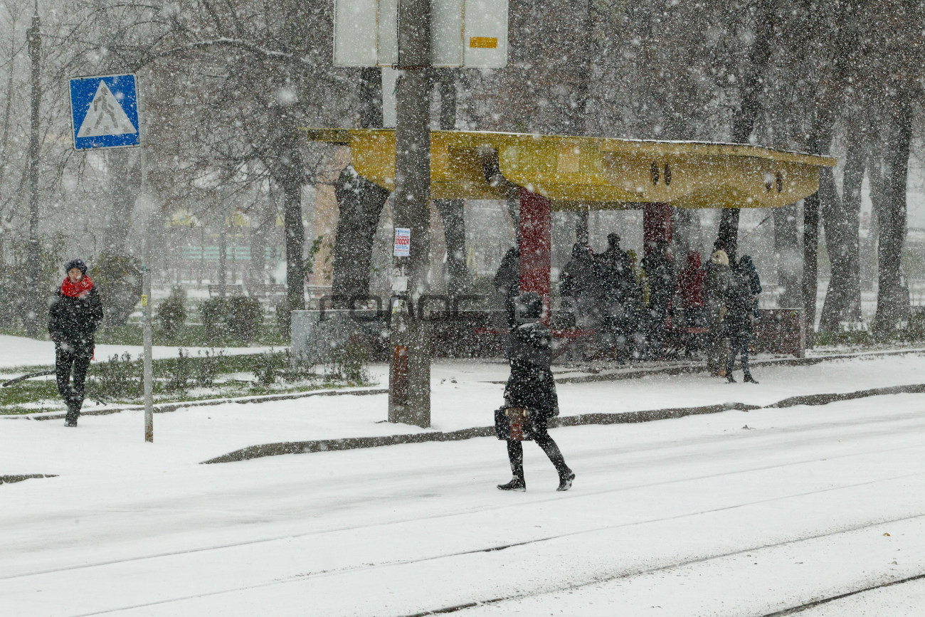 Первый снег в Киеве вызвал Апокалипсис