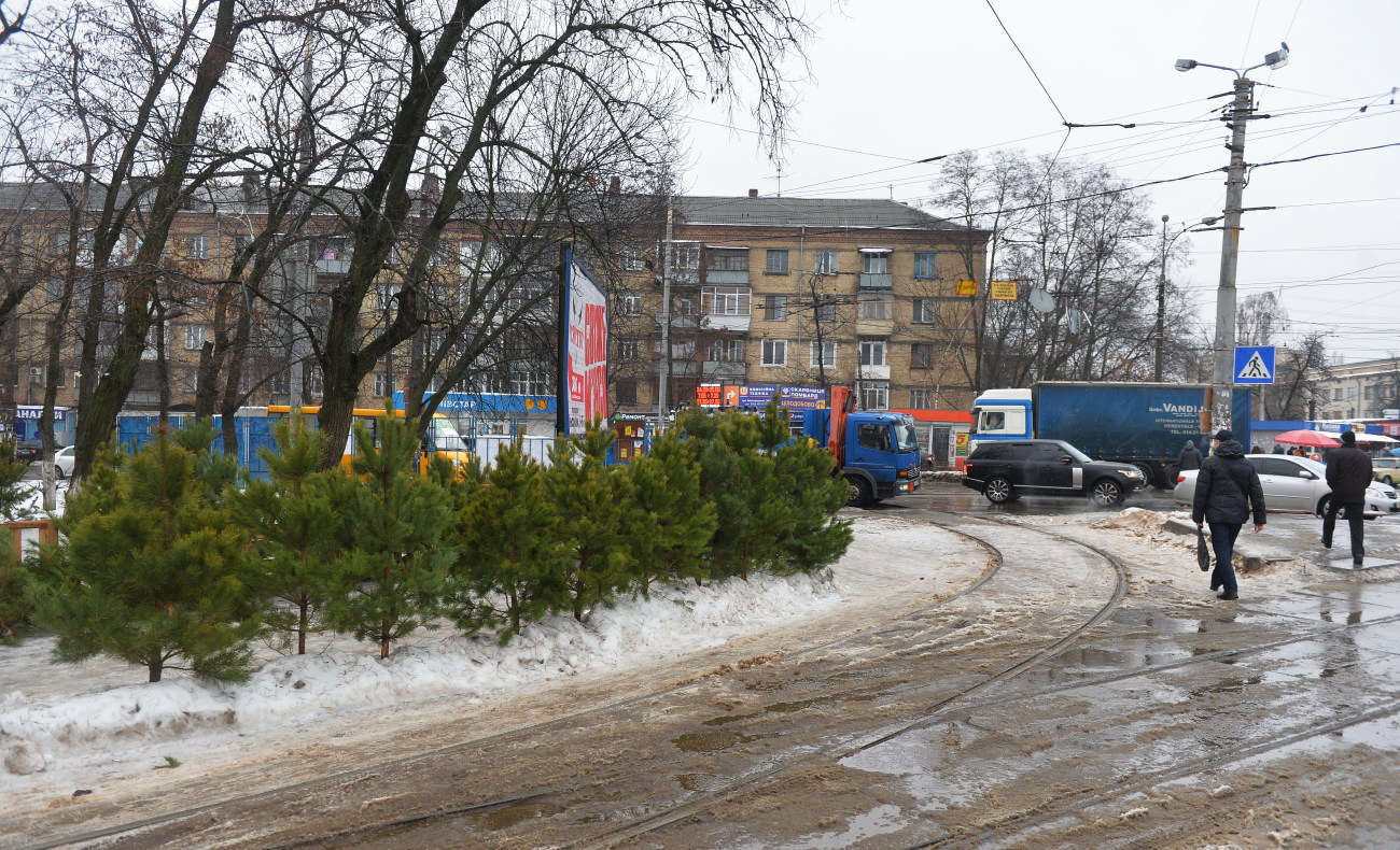 В Киеве работают 190 легальных елочных базаров