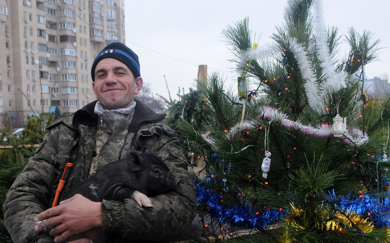 31 декабря украинцы мало думают о старте избирательной кампании: все готовятся к Новому году