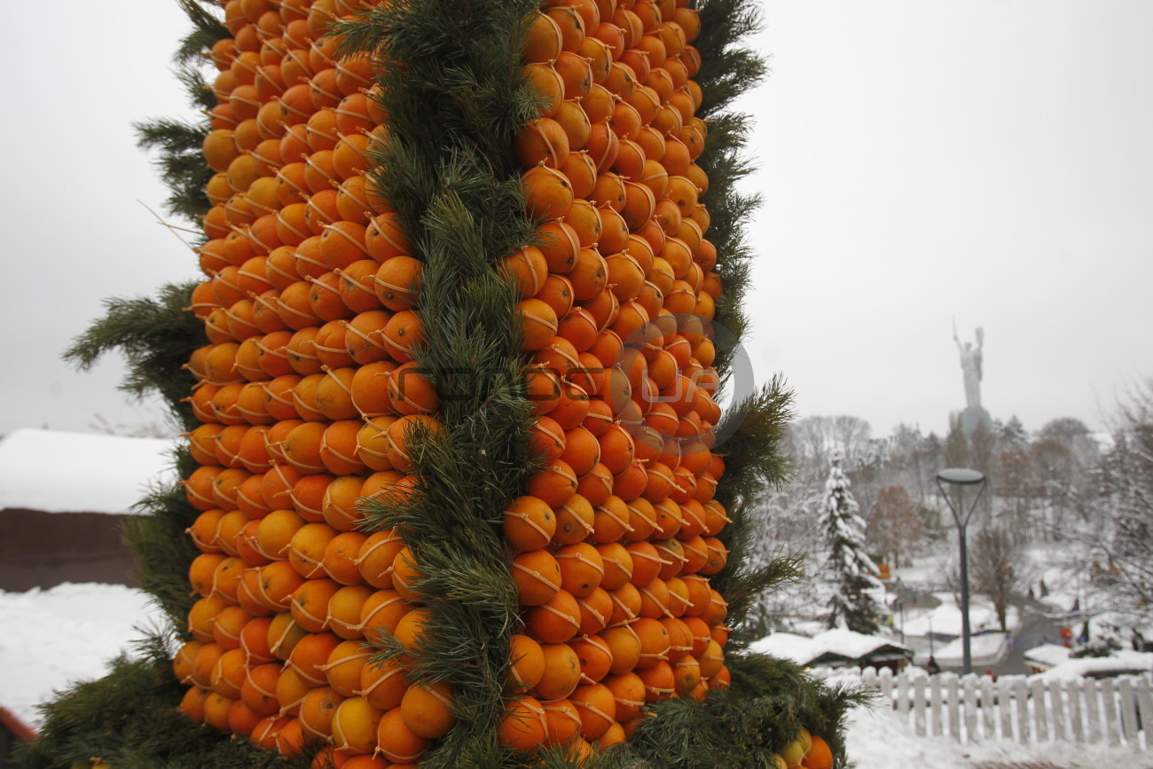 В Киеве на Певчем поле продолжается выставка фигур из апельсинов и лимонов
