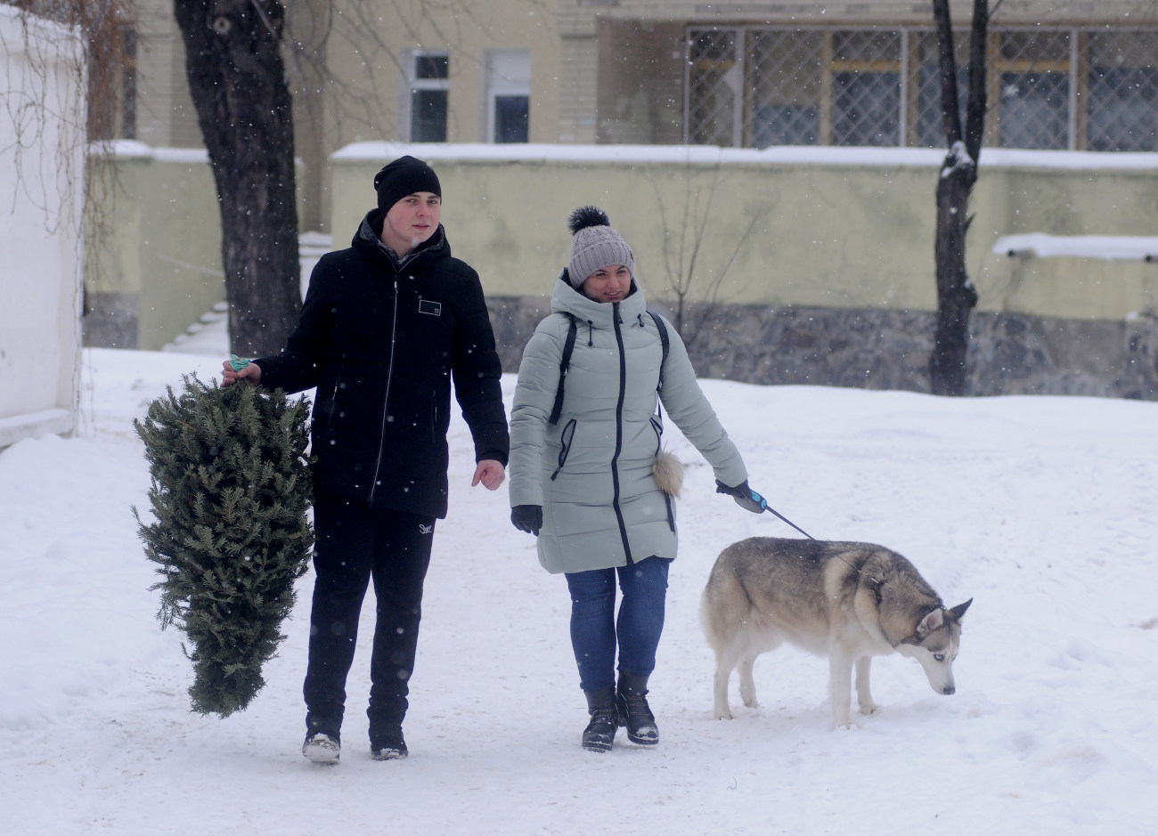 В Киеве презентовали пункт сбора новогодних елок